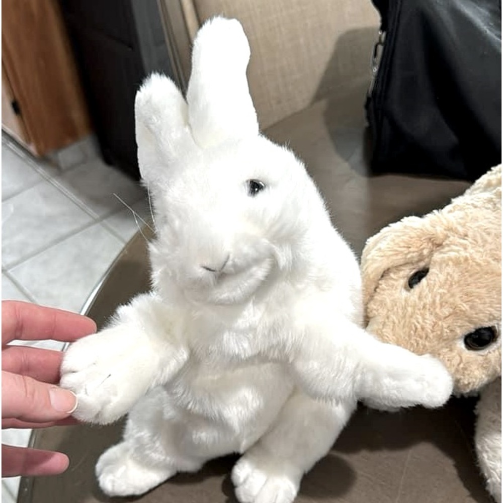 2 rabbit puppets brand new